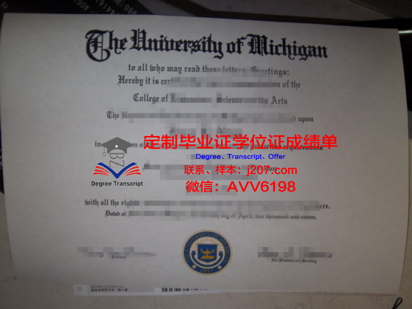 布加勒斯特理工大学博士毕业证：一份跨越国界的学术荣誉