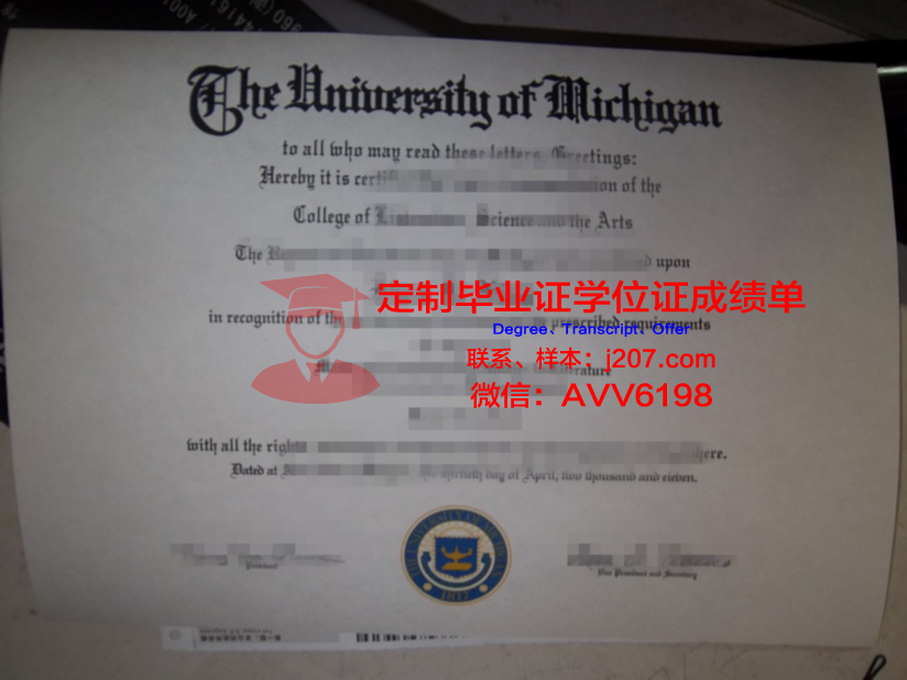 布尔诺理工大学硕士毕业证：开启国际职场新篇章的钥匙