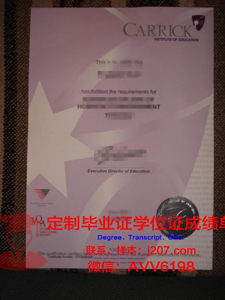 布伦瑞克工业大学毕业证长什么样(布伦瑞克工业大学条件zu)