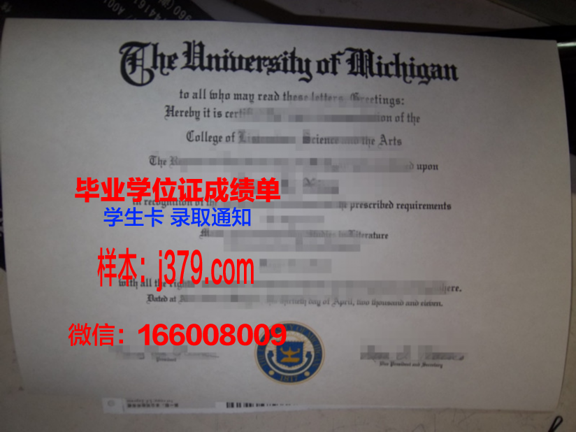 布尔诺理工大学毕业证学位证(布鲁内尔大学毕业证)