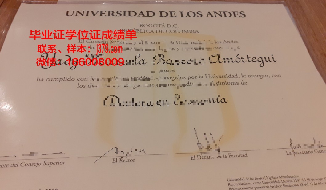 洛斯安第斯大学（智利）学位证(洛斯安第斯哥伦比亚大学)