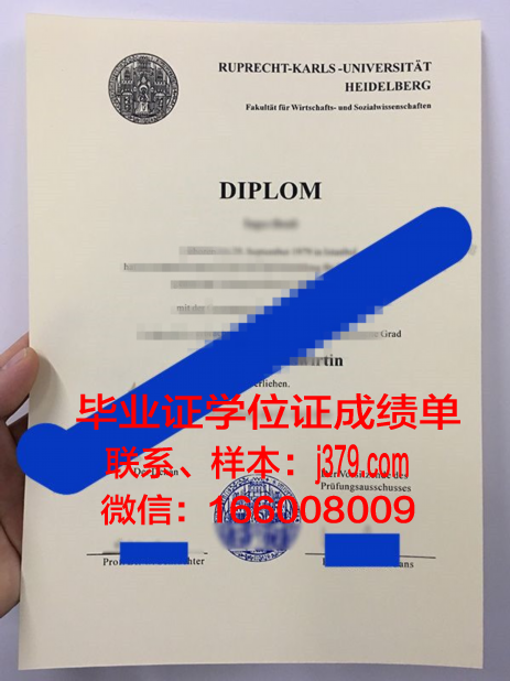 海德堡大学学生卡(海德堡大学宿舍)