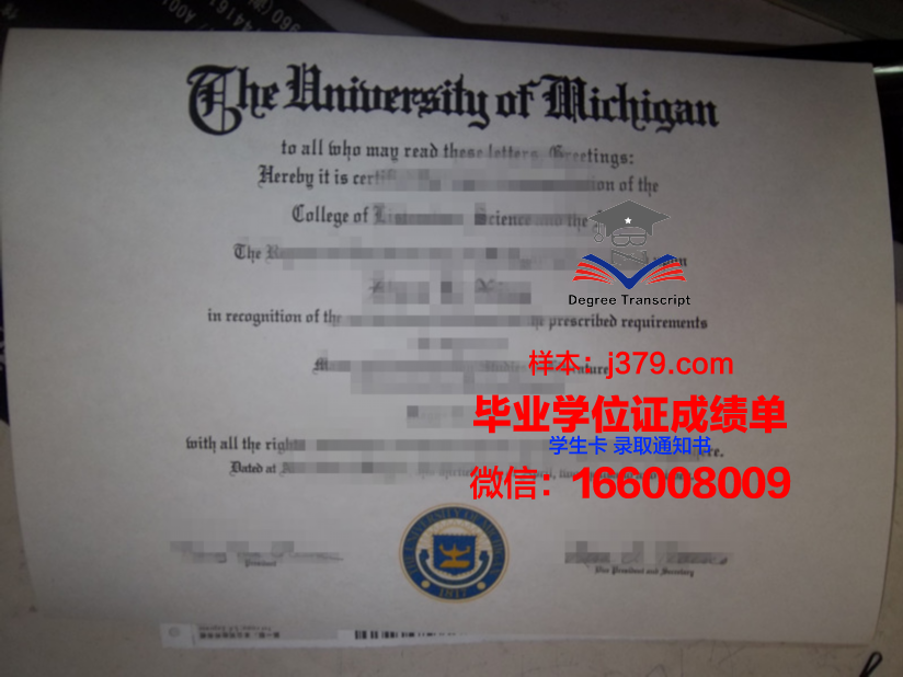海峡大学本科毕业证：承载知识与梦想的凭证