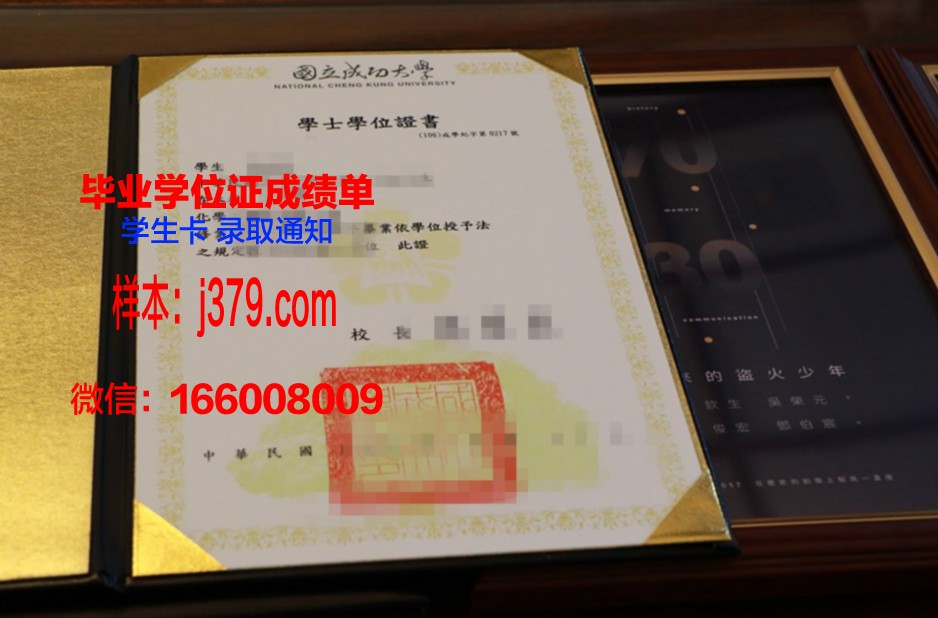 国立成功大学博士毕业证：知识与智慧的象征