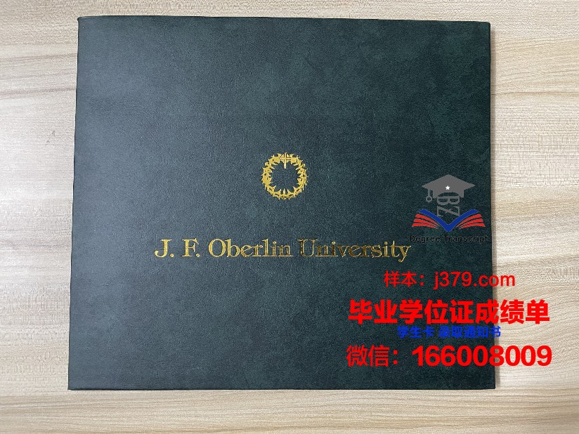 尼斯大学毕业证翻译(尼斯大学官网)