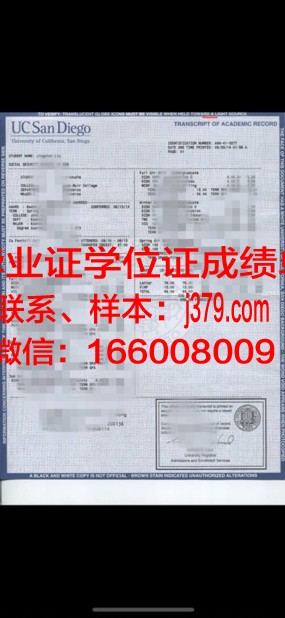 毕业十年成绩单：时光的见证，青春的印记