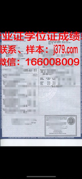 比费大成绩单：一部揭示成长与奋斗的励志故事