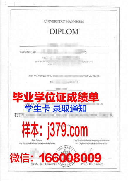 国立曼海姆音乐与表演艺术学院毕业证照片(曼海姆大学音乐学院)