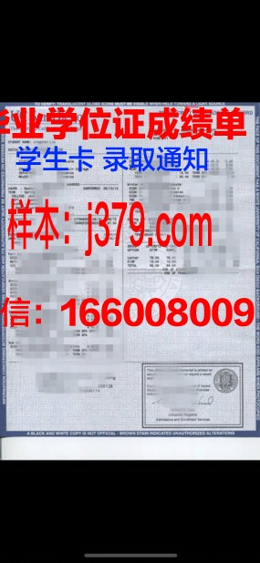 新潟大学学位成绩单定制：探索学术诚信与留学安全之路