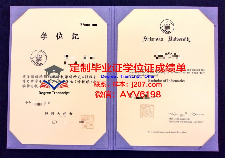 静冈国际航空专门学校本科毕业证：开启航空梦想的钥匙