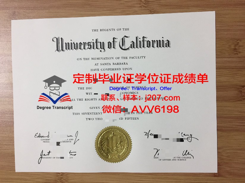 华中农业大学学士学位论文格式解析