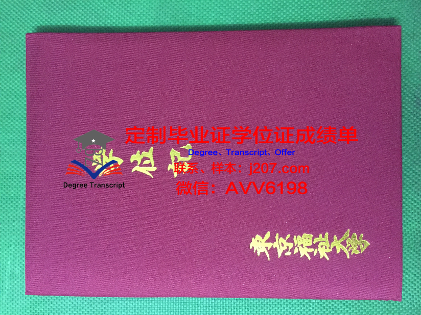 东南大学学士学位证书2009年：承载荣誉与使命的证书背后