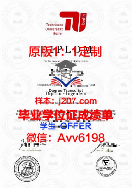 印度理工学院瓦拉纳西分校（巴纳拉斯印度大学）毕业证高清图(印度理工学院世界排名的大学)