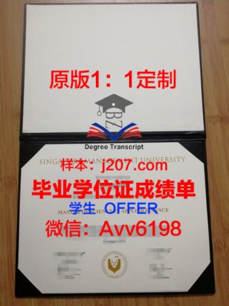 印度理工学院古瓦哈提分校毕业证图片